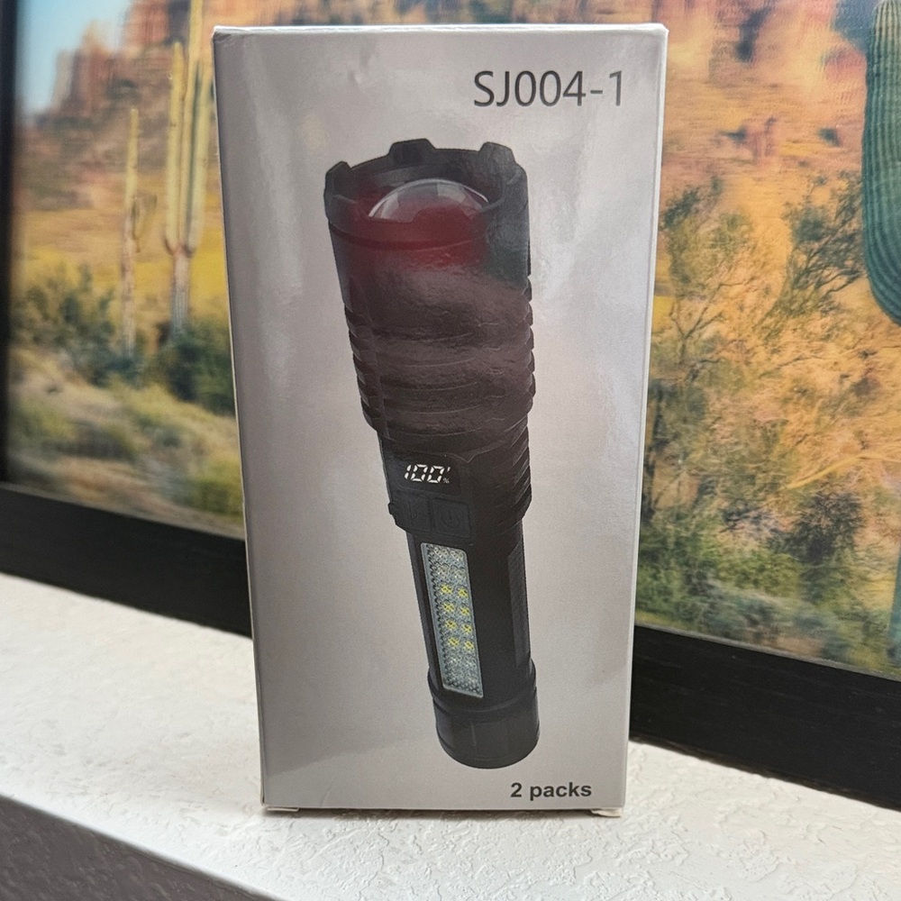 Black LED Flashlights—2 Pack